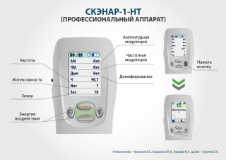 СКЭНАР-1-НТ (исполнение 01)  в Балашихе купить Медицинская техника - denasosteo.ru 