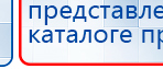 СКЭНАР-1-НТ (исполнение 02.1) Скэнар Про Плюс купить в Балашихе, Аппараты Скэнар купить в Балашихе, Медицинская техника - denasosteo.ru